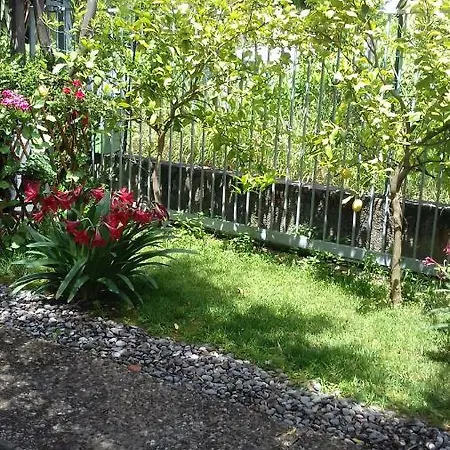 Da Rosa Guest house